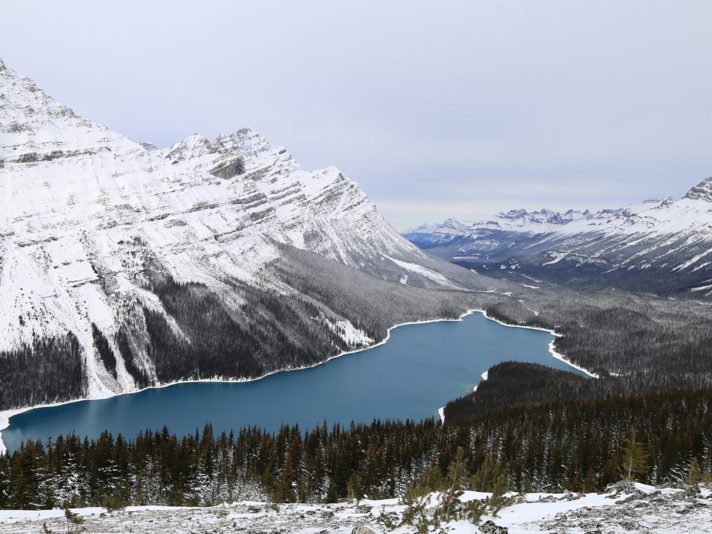 Peyto Lake