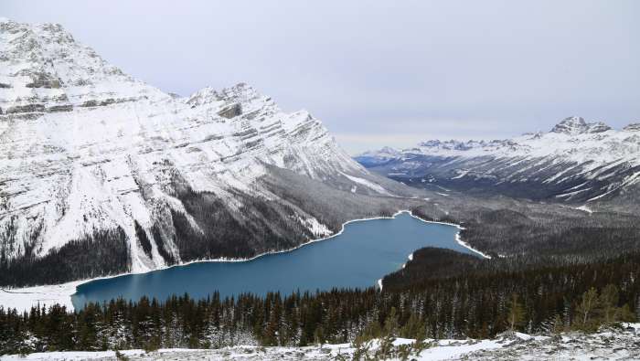 Peyto Lake