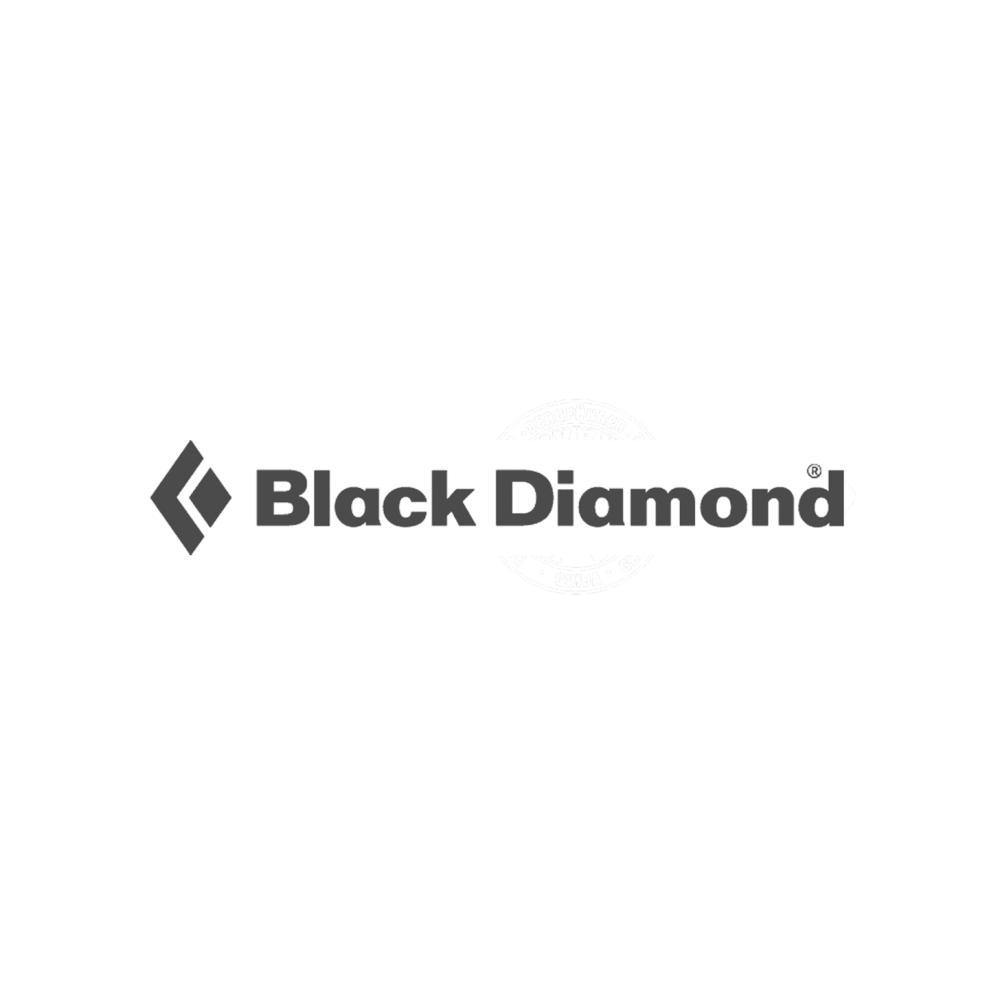 Rock Courses Supported by Black Diamond Equipment