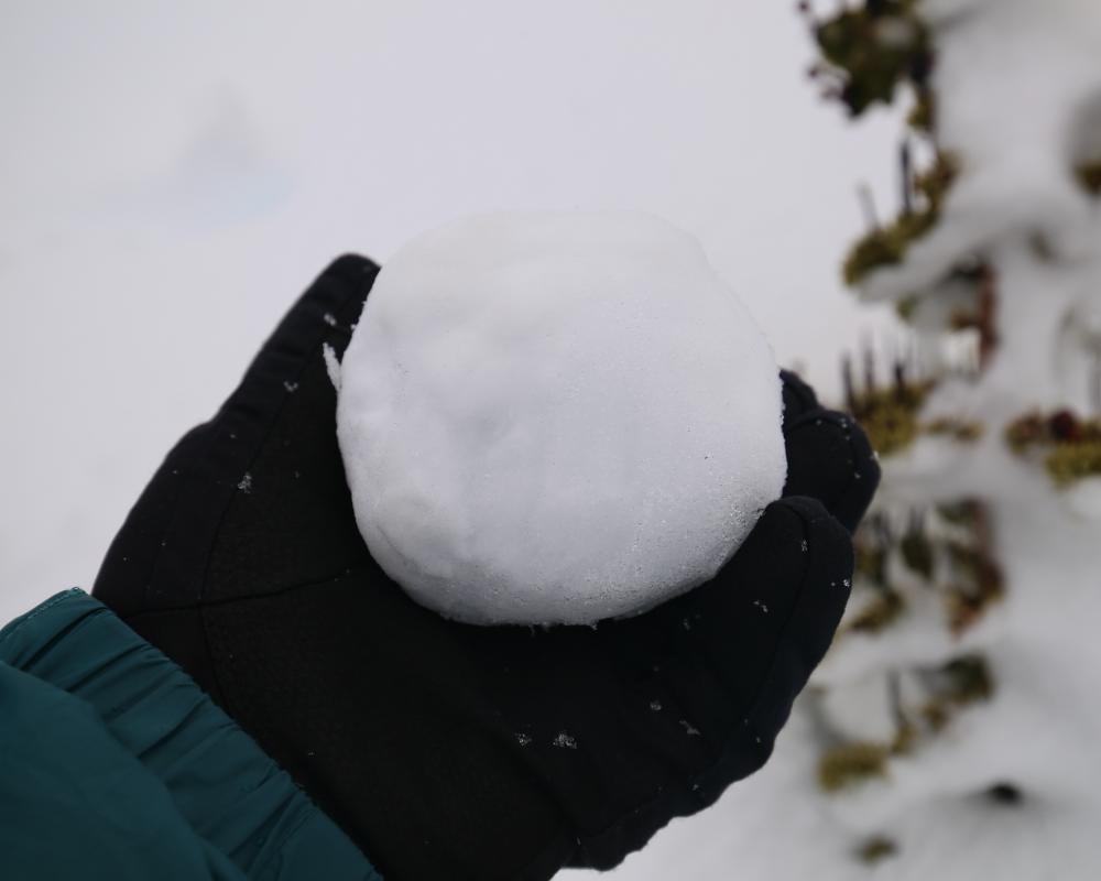Snowball