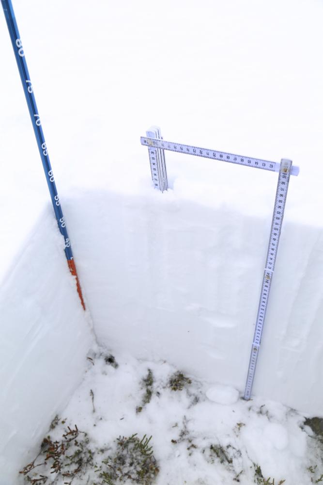 Bow Summit Snow Profile