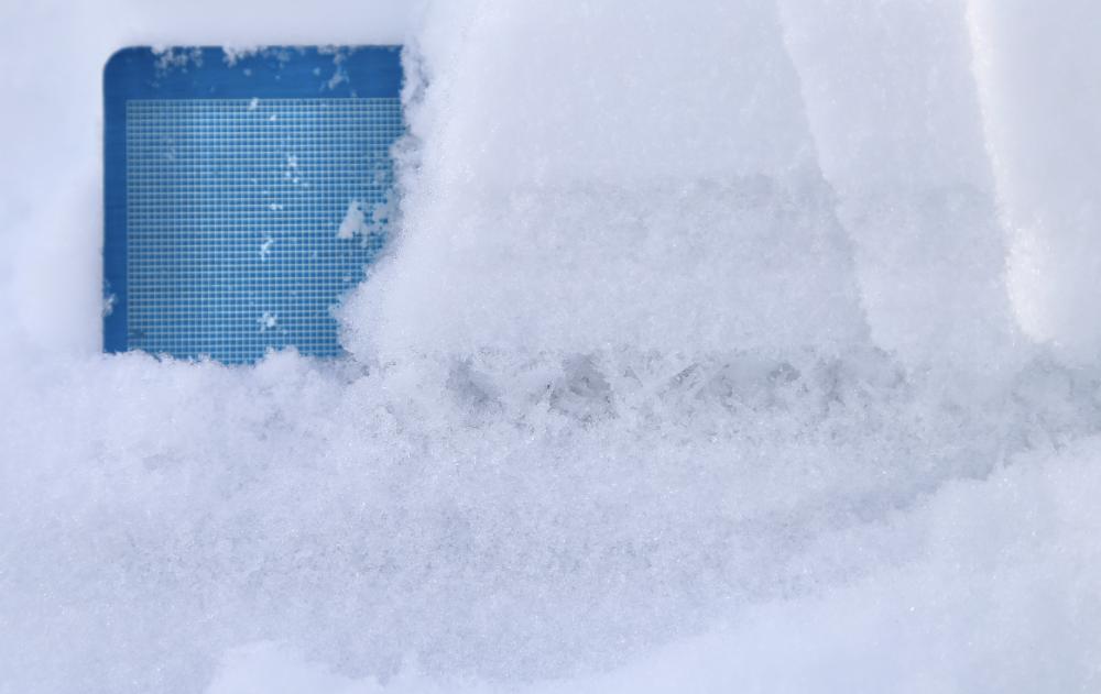 Surface hoar in a profile