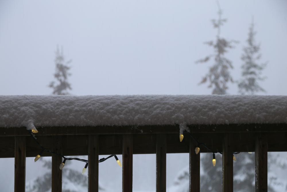 Snowy Railing